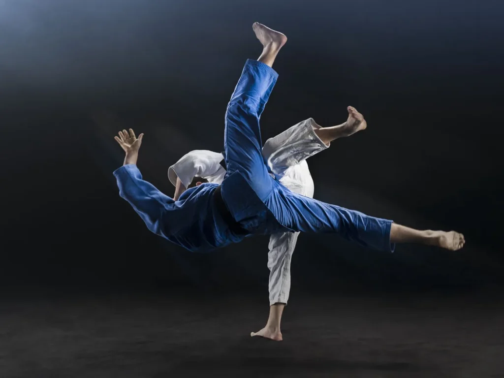 The fight of judokas