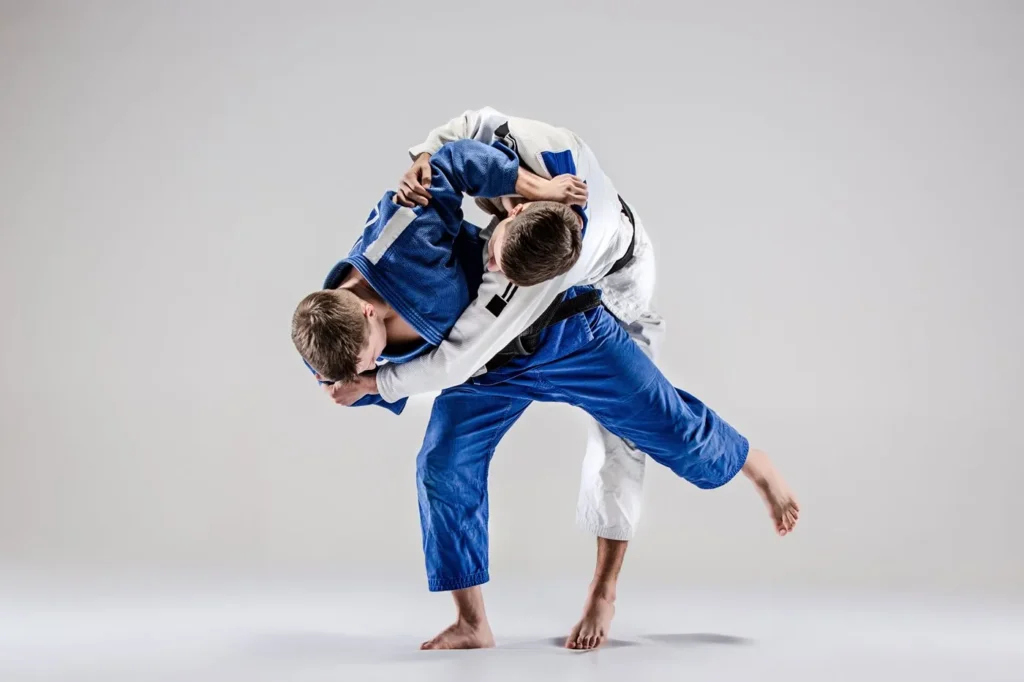 Judo techniques